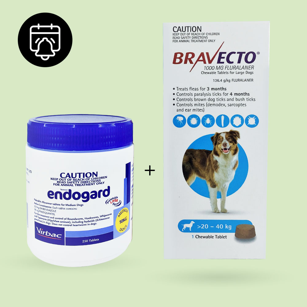 Dosage: Bravecto Chew Tablets 1 every 3 months + Endogard tablet 1 and 1/2 every 3 months